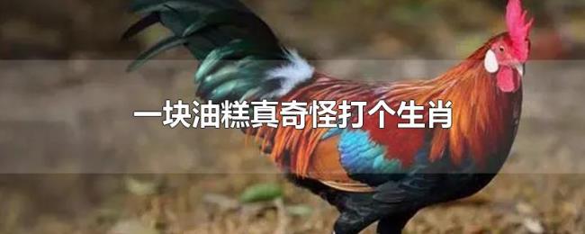 一块油糕真奇怪打个生肖 一块油糕真奇怪打个生肖