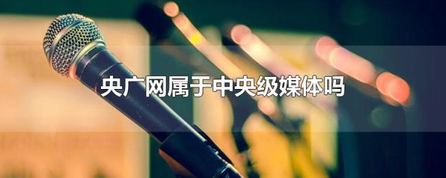 央广网属于中央级媒体吗