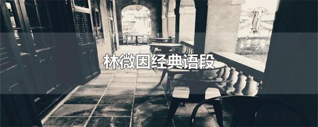 林微因经典语段 林微因经典语段