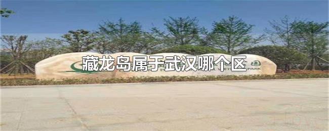 藏龙岛属于武汉哪个区