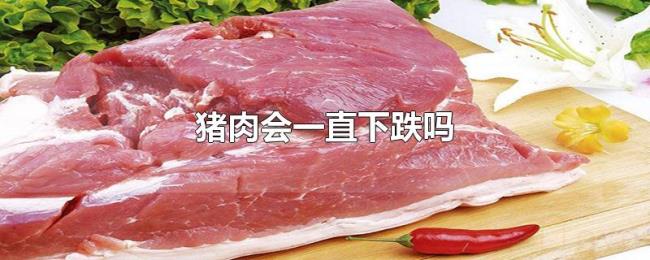 猪肉会一直下跌吗 猪肉会一直下跌吗