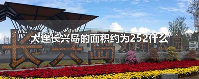 大连长兴岛的面积约为252什么