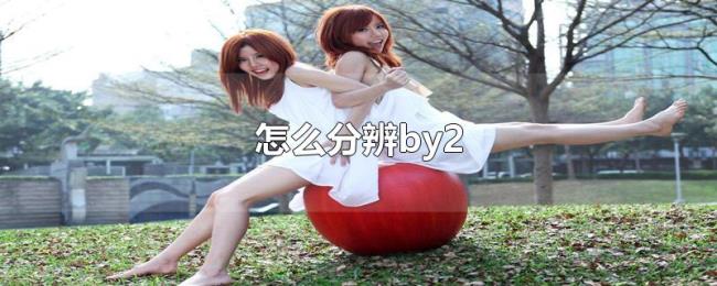 怎么分辨by2 怎么分辨by2