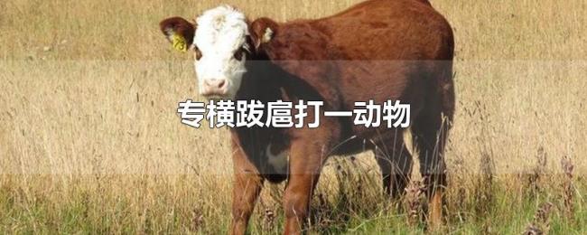 专横跋扈打一动物 专横跋扈打一动物