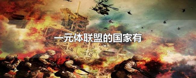 一元体联盟的国家有