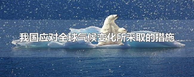 我国应对全球气候变化所采取的措施 我国应对全球气候变化所采取的措施