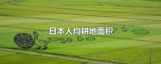 日本人均耕地面积 日本人均耕地面积