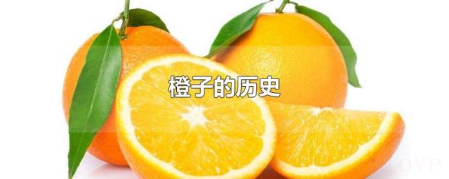 橙子的历史