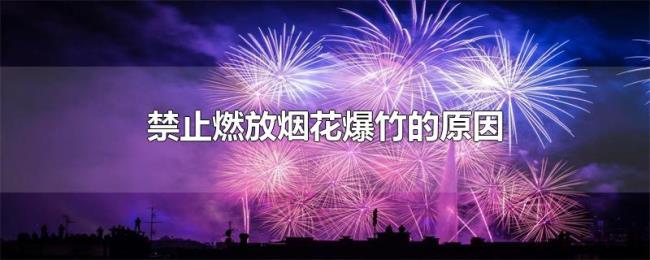 禁止燃放烟花爆竹的原因 禁止燃放烟花爆竹的原因