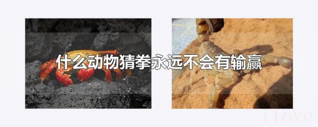 什么动物猜拳永远不会有输赢