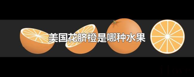 美国花脐橙是哪种水果 美国花脐橙是哪种水果