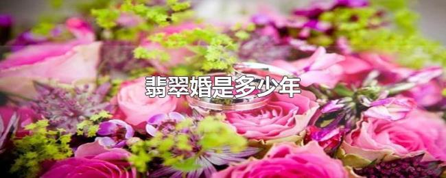 翡翠婚是多少年 翡翠婚是多少年