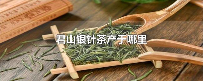 君山银针茶产于哪里