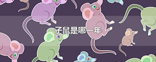 子鼠是哪一年 子鼠是哪一年