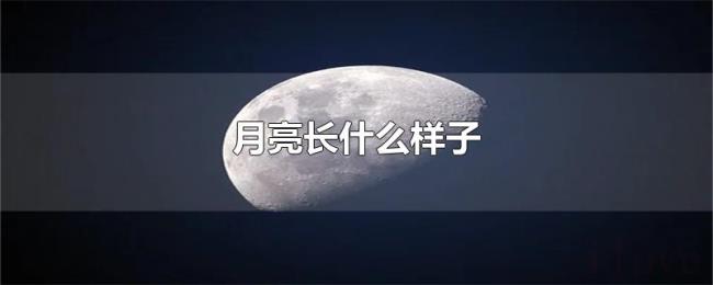 月亮长什么样子