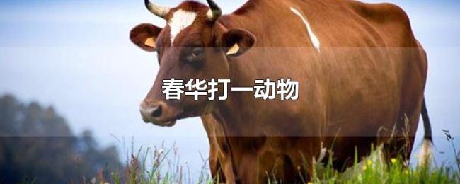 春华打一动物 春华打一动物