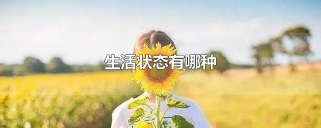 生活状态有哪种