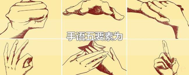 手语五要素为 手语五要素为
