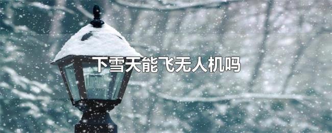 下雪天能飞无人机吗 下雪天能飞无人机吗