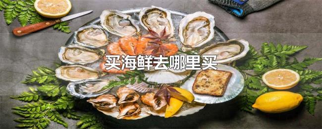 买海鲜去哪里买 买海鲜去哪里买