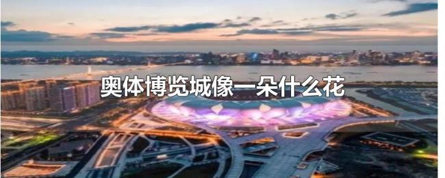 奥体博览城像一朵什么花 奥体博览城像一朵什么花
