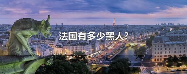 法国有多少黑人? 法国有多少黑人?