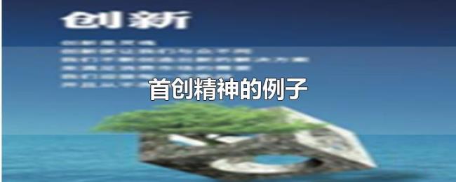 首创精神的例子 首创精神的例子
