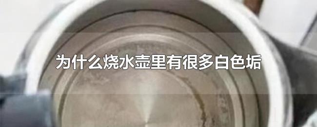 为什么烧水壶里有很多白色垢 为什么烧水壶里有很多白色垢