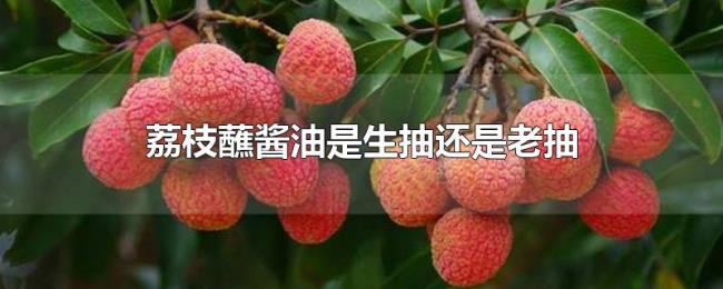 荔枝蘸酱油是生抽还是老抽 荔枝蘸酱油是生抽还是老抽