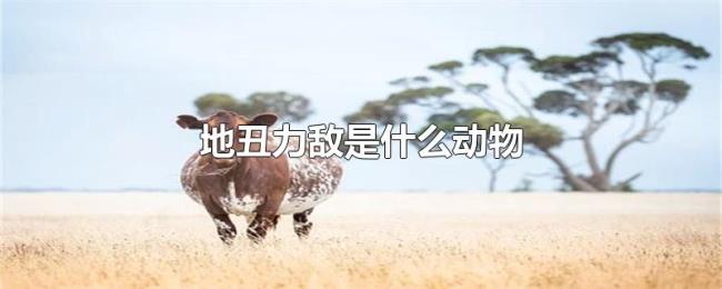 地丑力敌是什么动物