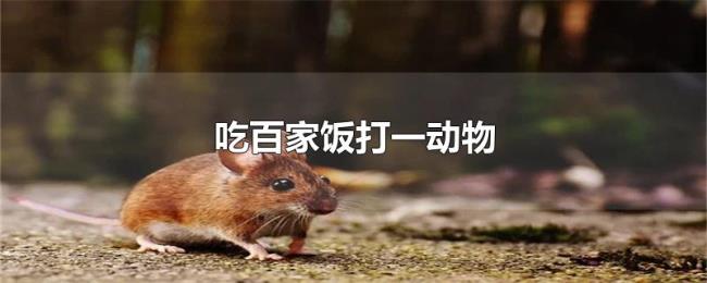 吃百家饭打一动物 吃百家饭打一动物