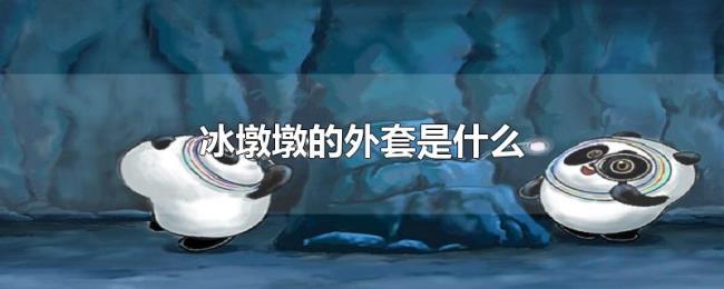 冰墩墩的外套是什么 冰墩墩的外套是什么