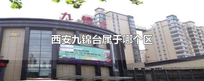 西安九锦台属于哪个区 西安九锦台属于哪个区