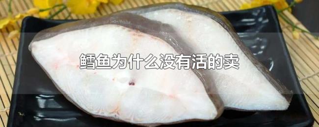 鳕鱼为什么没有活的卖 鳕鱼为什么没有活的卖
