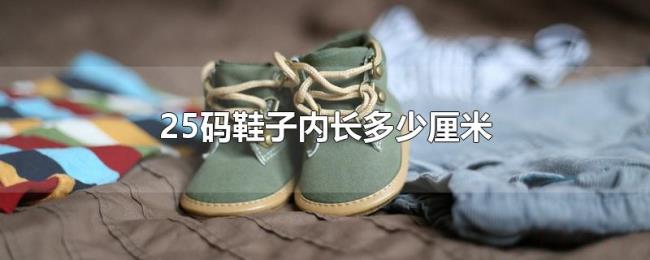 25码鞋子内长多少厘米 25码鞋子内长多少厘米