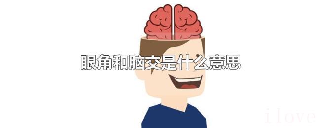 眼角和脑交是什么意思 眼角和脑交是什么意思