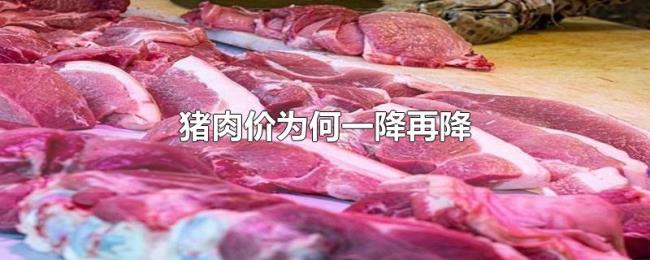 猪肉价为何一降再降 猪肉价为何一降再降