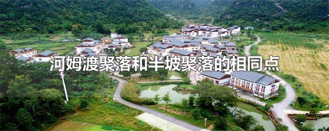 河姆渡聚落和半坡聚落的相同点 河姆渡聚落和半坡聚落的相同点
