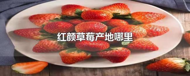 红颜草莓产地哪里 红颜草莓产地哪里
