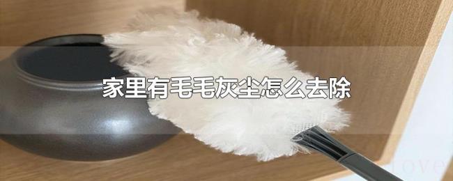 家里有毛毛灰尘怎么去除 家里有毛毛灰尘怎么去除