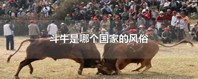 斗牛是哪个国家的风俗