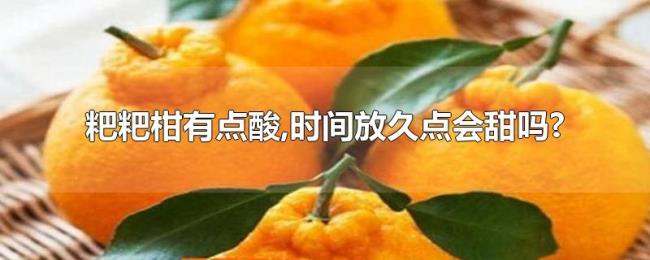 粑粑柑有点酸,时间放久点会甜吗? 粑粑柑有点酸,时间放久点会甜吗?