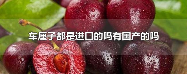 车厘子都是进口的吗有国产的吗 车厘子都是进口的吗有国产的吗