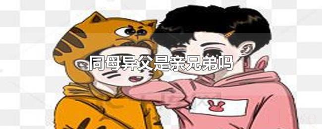 同母异父是亲兄弟吗 同母异父是亲兄弟吗