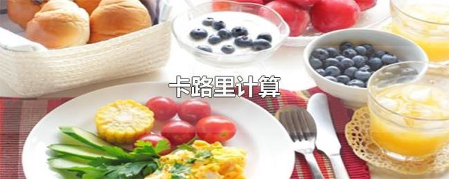 卡路里计算 卡路里计算