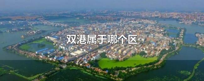 双港属于哪个区 双港属于哪个区
