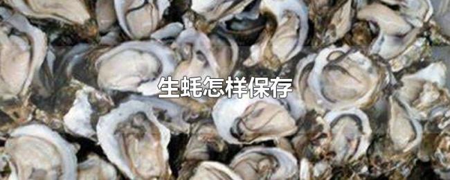 生蚝怎样保存 生蚝怎样保存
