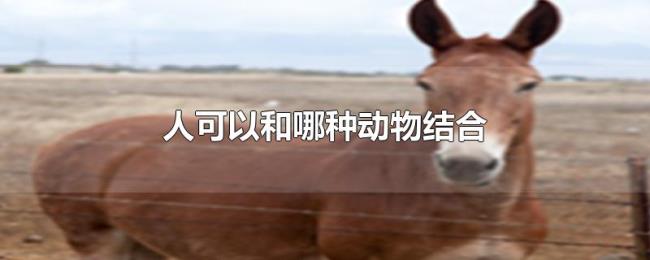 人可以和哪种动物结合 人可以和哪种动物结合