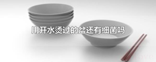 用开水烫过的盆还有细菌吗 用开水烫过的盆还有细菌吗