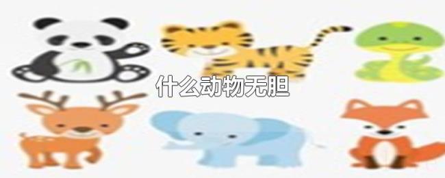 什么动物无胆 什么动物无胆